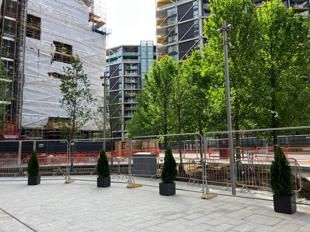 Medium sized leafy tress have been planted in the ground between two sections of paving. They are fenced off by metal barriers. In the background are several tall buildings, the one closest to the trees is still under construction and covered isn scaffolding and protective material