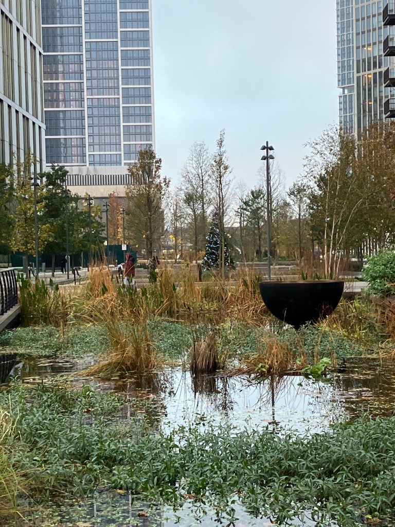 A view across part of Nine eElms Park towards Vauxhall. IN the foreground is a watery area with aquatic plants. Beyond that, wintry trees and aChristmas tree, and on either side tall glass  and steel buildings