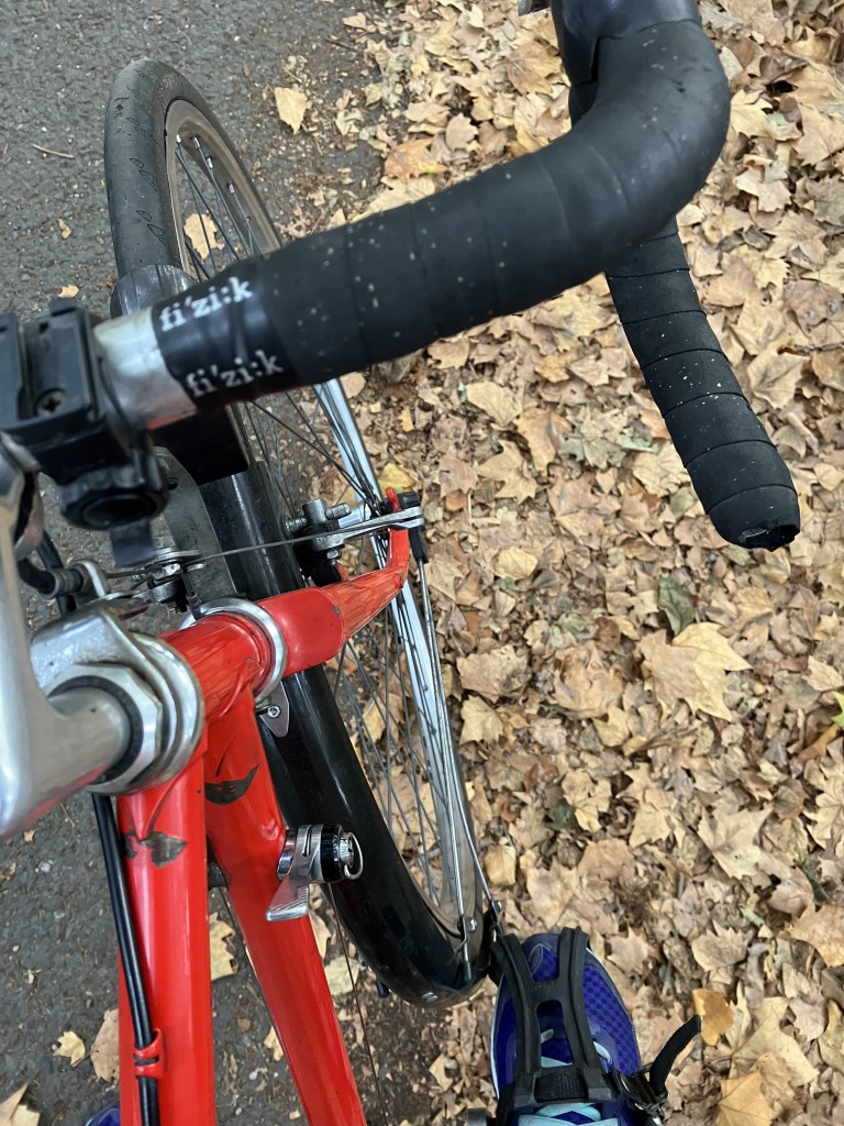 Partial view of the front of a red bicycle, looking down past the handlebars to a a road mostly covered in autumn leaves.